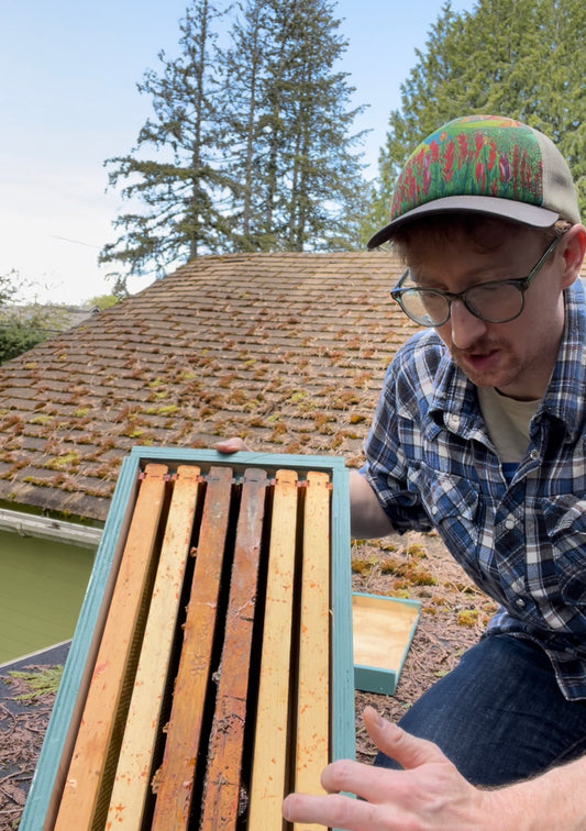 Alex, owner of Beatriche Bees is on a rooftop, demoing a swarm trap set-up.